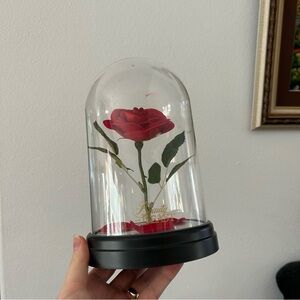 Beauty and the Beast rose in plastic dome